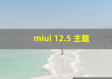 miui 12.5 主题